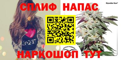 spice Беслан