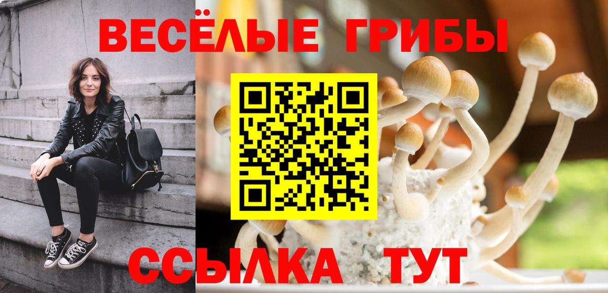 Галлюциногенные грибы MAGIC MUSHROOMS  цены   Кашира  Вход с VPN  Псилоцибиновые грибы Psilocybine cubensis 